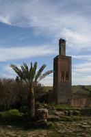 Ausgrabungsstätte Chellah