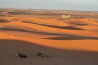 Sanddünen des Erg Chebbi