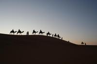 Sonnenuntergang in der Wüste