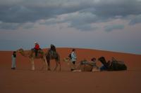 Sonnenuntergang in der Wüste