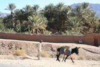 An der Kasbah Oulad-Atmane