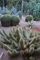 Jardin Majorelle Marrakesch