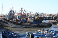 Hafen von Essaouira