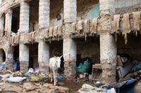 Medina von Fès: kurz nach dem Opferfest