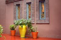 Jardin Majorelle
