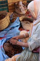 Dier Arganfrüchte werden aufgeklopft