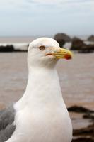 Porträt von Emma :-)