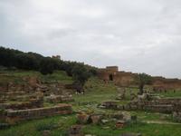 021_Ruinenensemble der Cellah