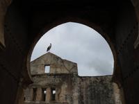 022_Ruinenensemble der Cellah