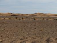 108_Oase Merzouga