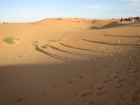 124_Oase Merzouga