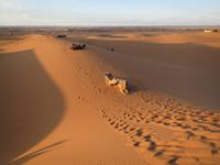 125_Oase Merzouga