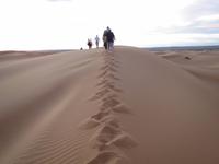 136_Rückweg aus der Oase