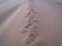 137_unsere Fußstapfen