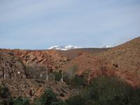 181_im Tal der Rosen