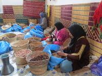 271_Bearbeitung der Arganfrucht