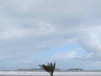 287_Blick aus dem Hotel in Essaouira