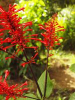 Bunte Wegbegleiter während der Besichtigung