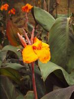 Bunte Wegbegleiter während der Besichtigung