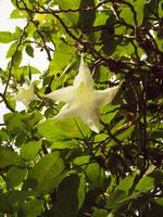 Bunte Wegbegleiter während der Besichtigung