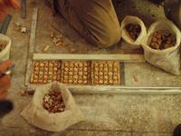 Feinstarbeit bei den Mosaiken