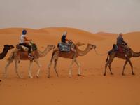 unser Dromedarritt zur Sanddüne