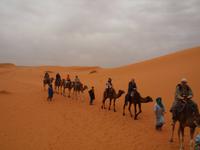 unser Dromedarritt zur Sanddüne