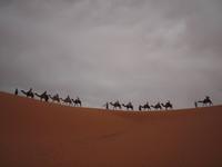 Dromedarritt durch die Wüste