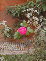 Bunte Wegbegleiter während der Besichtigung