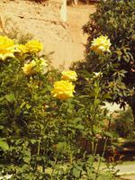 Bunte Wegbegleiter während der Besichtigung