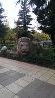Löwenstatue in Ifrane