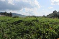 Römerstadt Voloubilis