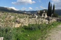 Römerstadt Voloubilis