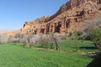 Spaziergang im Dades-Tal