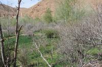 Spaziergang im Dades-Tal