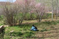 Spaziergang im Dades-Tal