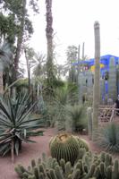Jardin Morelle, Marrakesch