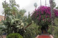 Jardin Morelle, Marrakesch