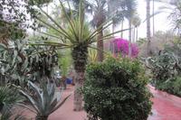 Jardin Morelle, Marrakesch