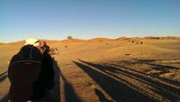 Dromedarritt bei Merzouga