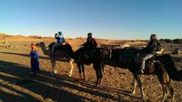 Dromedarritt bei Merzouga