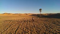 Wüste bei Merzouga