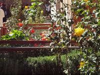 Garten der Saadirgräber Marrakesch