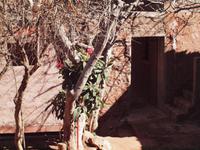 Ausflug ins Ourika-Tal