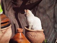 Besuch einer Berberfamilie