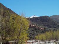 Ausflug ins Ourika-Tal