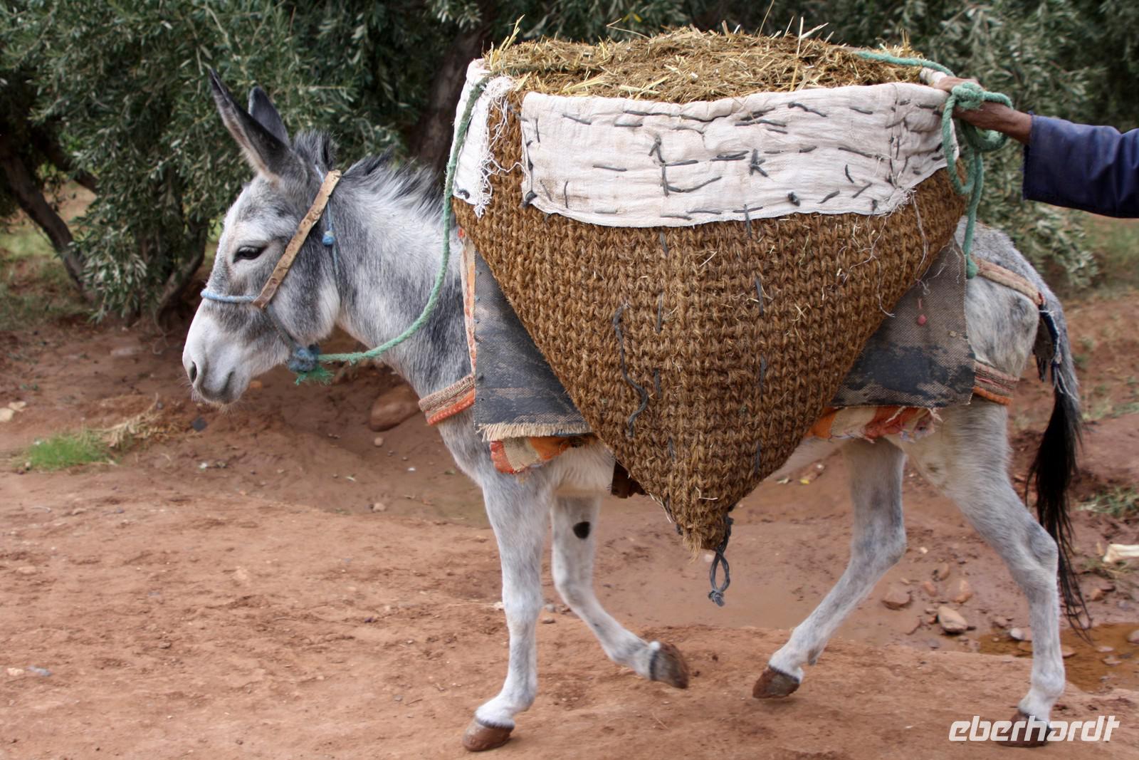 Ait Ben Haddou
