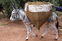 Ait Ben Haddou