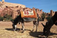 Ait Benhadou