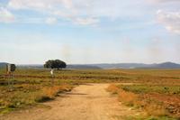 AmWegesrand
